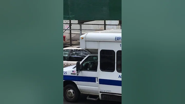 Idle NYC: MTA Paratransit (Access-A-Ride) Empire #4725