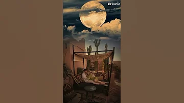 ده انا ابيع حياتي يا هوي علشان حبيبي 