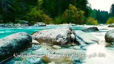 ﴿وَيُريكُم آياتِهِ فَأَيَّ آياتِ اللَّهِ تُنكِرونَ﴾ القارئ ماجد اليافعي
