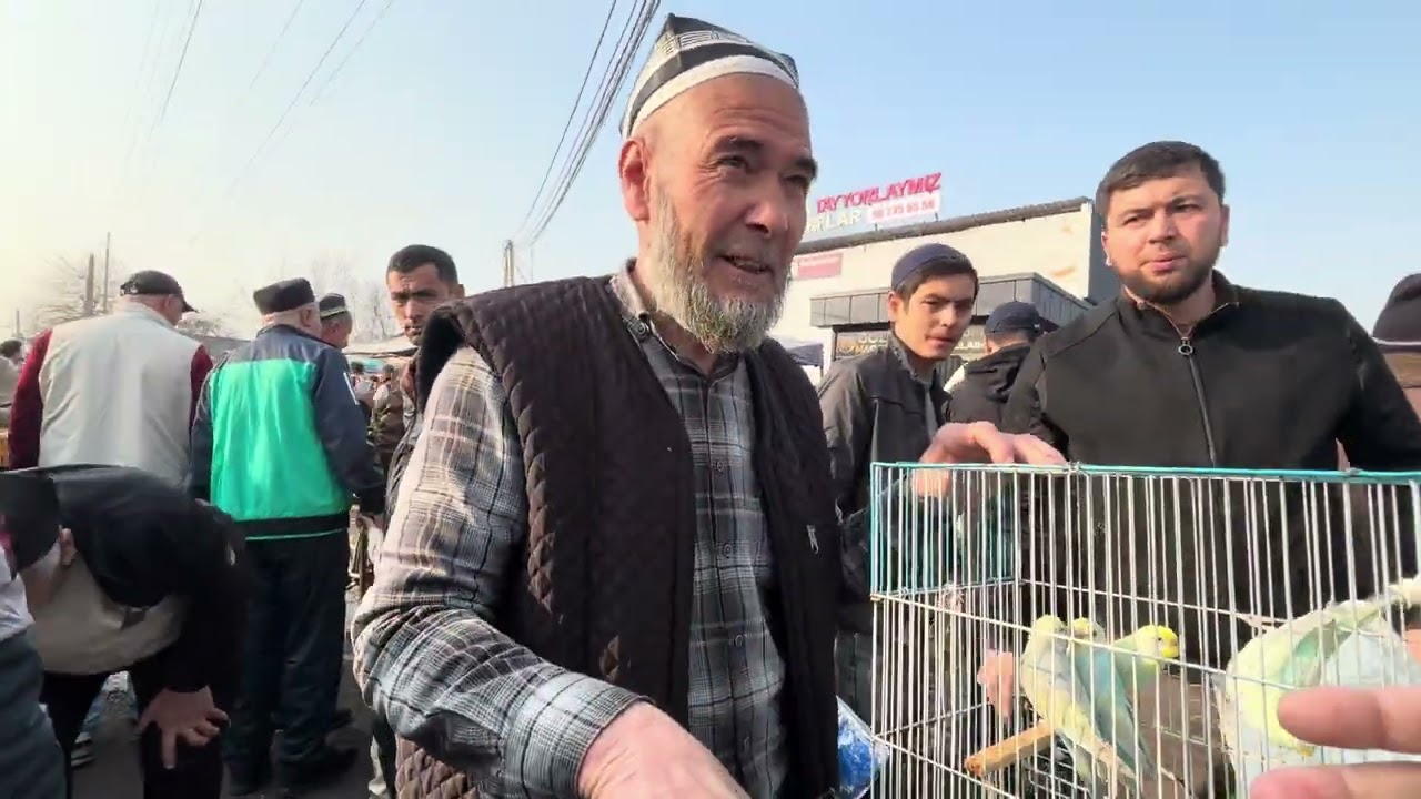 19.02.2026.margilon kambinat qush bozori 