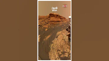 صور من على سطح كل كوكب في المجموعة الشمسية 