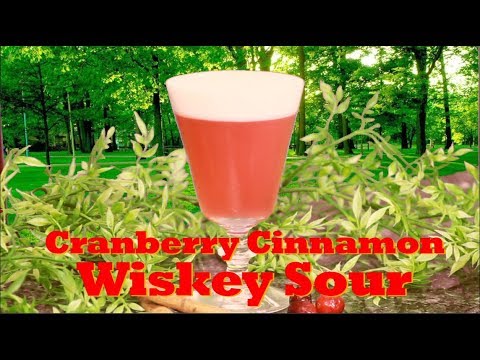 how-to-make-the-cranberry-cinnamon-whiskey-sour-|-drinks-made-easy