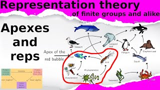 What is...the CMP theorem?
