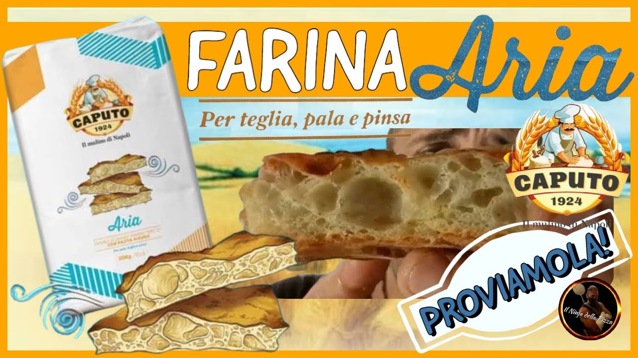 Caputo farina 0 pasta madre aria 1 Kg.