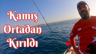 Kamış Ortadan Kırıldı Böyle Güçlü Balık Görülmedi..