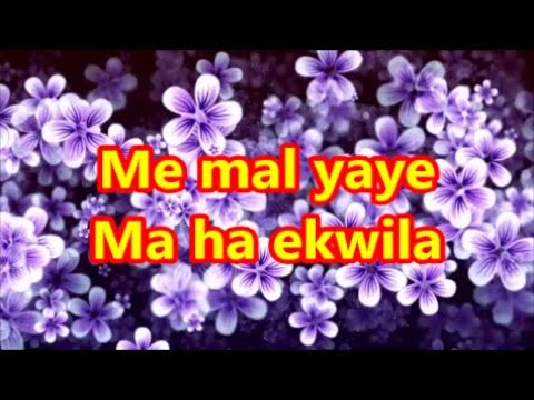 Me Mal Yaye Edward Jayakodi Sinhala Music Track Srilankan Karaoke With English Lyrics Youtube