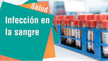 ¿Cómo sabe si tiene una infección en la sangre?