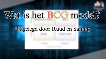 BCG-matrix| Kort & helder uitgelegd voor studenten - Ruud en Sammy leggen uit