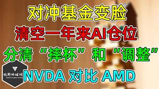 美股 对冲基金清空1年来AI仓位！不看好人工智能了吗？举例NVDA对比AMD！