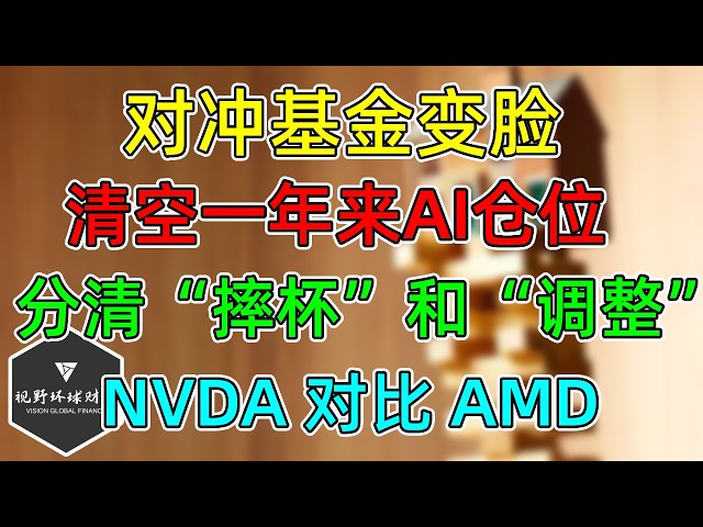 美股 对冲基金清空1年来AI仓位！不看好人工智能了吗？举例NVDA对比AMD！