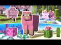 【ピンクの羊】ピンク!早抜け選手権!【マイクラ】