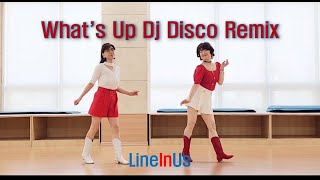 [초급]  What's Up Dj Disco Remix Line Dance (Dance) [Lineinus]