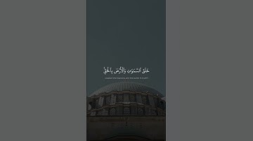 ألم تر أن الله خلق السماوات والأرض بالحق  | محمد صديق المنشاوي | سورة إبراهيم