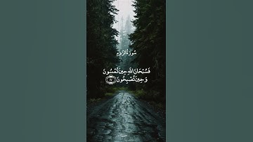 فسبحان الله حين تمسون وحين تصبحون = سورة الروم = #عبدالباسط_عبدالصمد #quran