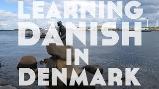 Learning danish in denmark || lindsay does languages video