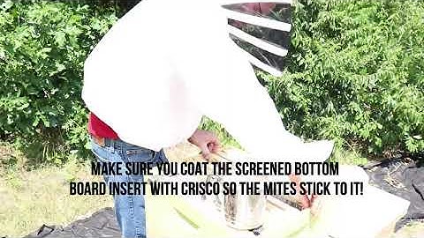 Powdered Sugar Treatment for Varroa Mites (Dust Every Frame Method) - Rec  7 29