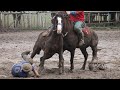 💥Ахиллес - лучшая лошадь! 🔥 Мыкты ат! The best horse!