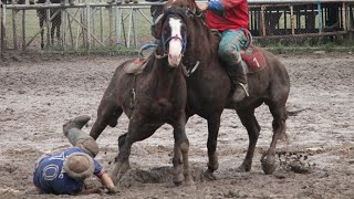 картинка: 💥Ахиллес - лучшая лошадь! 🔥 Мыкты ат! The best horse!