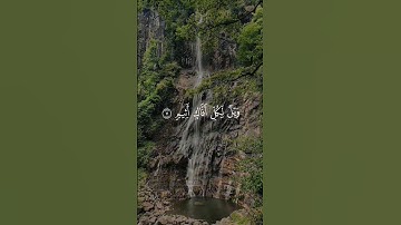 (ويْلٌ لِكُلِّ أفّاكٍ أثِيمٍ) تلاوة خاشعة للشيخ محمد اللحيدان - سورة الجاثية