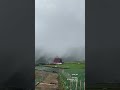 Mystic Foggy day #nature #villagelife #kakigunung #sukomakmur