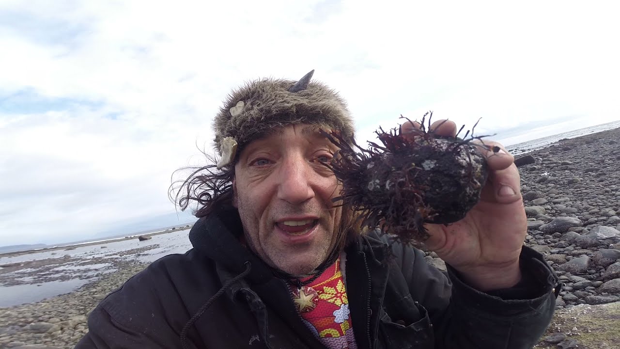 How To Find And Brake Rare Crab Concretions