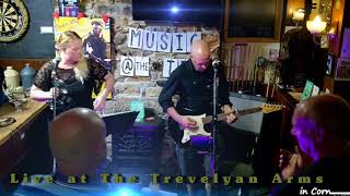 The Love Rats - Sweet Child of Mine - Live at The Trevelyan Arms, Goldsithney screenshot 4