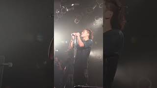 Download Lagu BRAHMAN「TREES LINING A STREET」 MP3