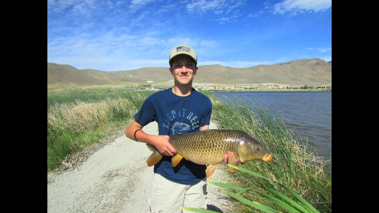 Consistently Chumming For Carp Produces HUGE 10+ Pound Carp YouTube
