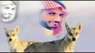 اهداء من ساحوق الى خوي السعد سم الذيابه (البقمي)