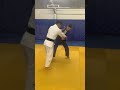 Masashi uchi-mata 1c