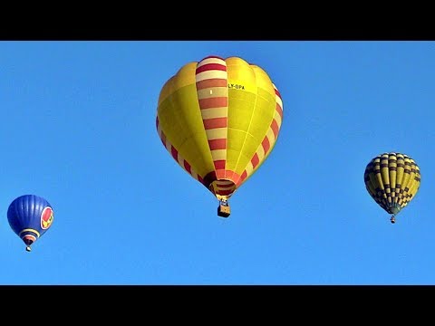 Video: Le bucce sono le bucce e i frutti sono dentro