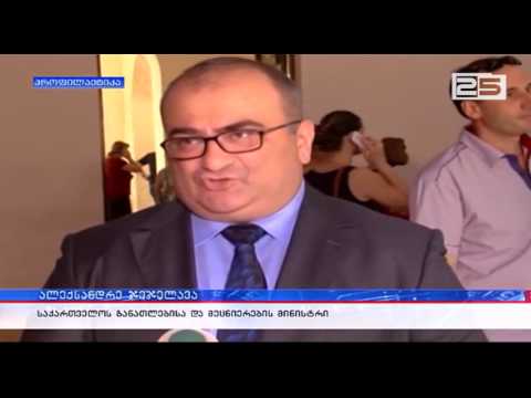 ალექსანდრე ჯეჯელავა კონსულის განცხადებაზე