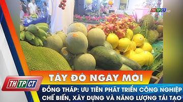 Đồng Tháp: Ưu tiên phát triển công nghiệp chế biến, xây dựng và năng lượng tái tạo | Cần Thơ TV