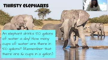 G4 Bridges Unit 7 Module 4