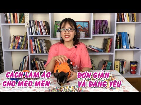 Video: Cách May Cho Mèo