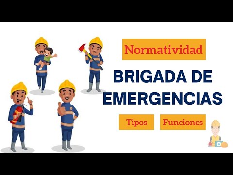 Video: ¿A quién pertenece la brigada de pesas?