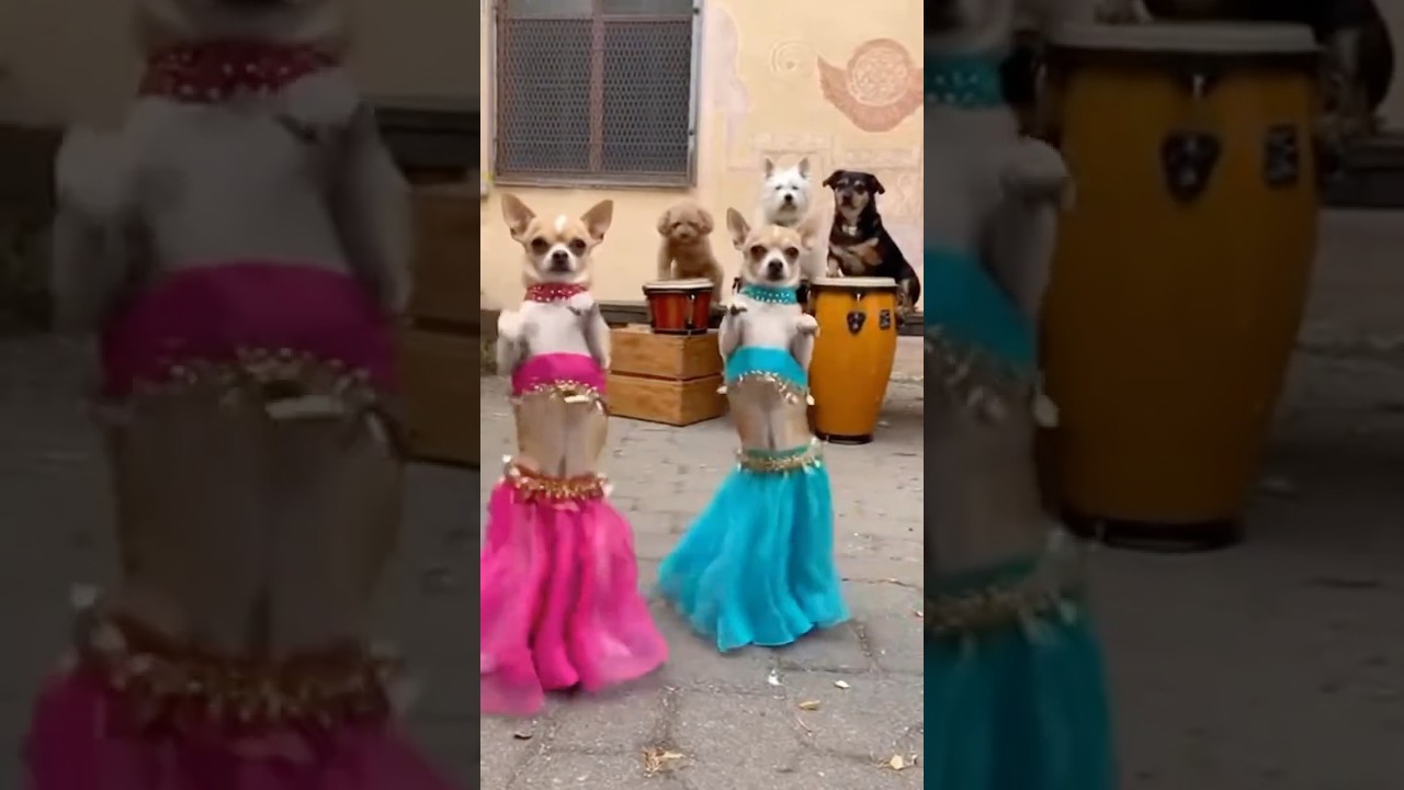 This wasn’t in the rehearsal…😭💃 