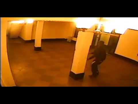 videos for cats South Bronx Robbery Suspect