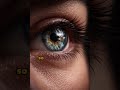 You’ve Never Seen Reality Live