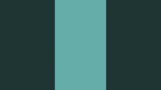 4 Basic Karate Stances