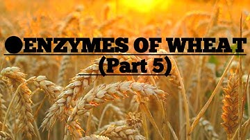 Enzymes of wheat. Cereals and millet technology, Preapartion of food science and tech ASRB Net