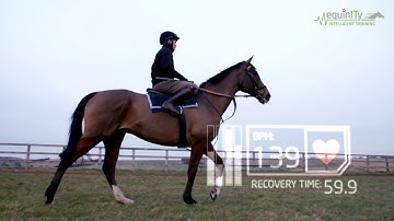 equinITy Technology Promo Video