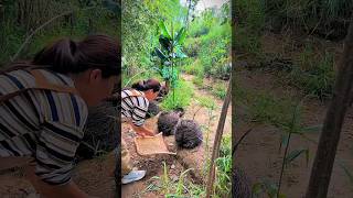 Hidden Egg Cache😱🤯-New Viral Gadgets Smart Appliances Kitchen Utensils/ Home Inventions