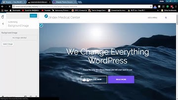 Shapely Wordpress Theme Customization Tutorial