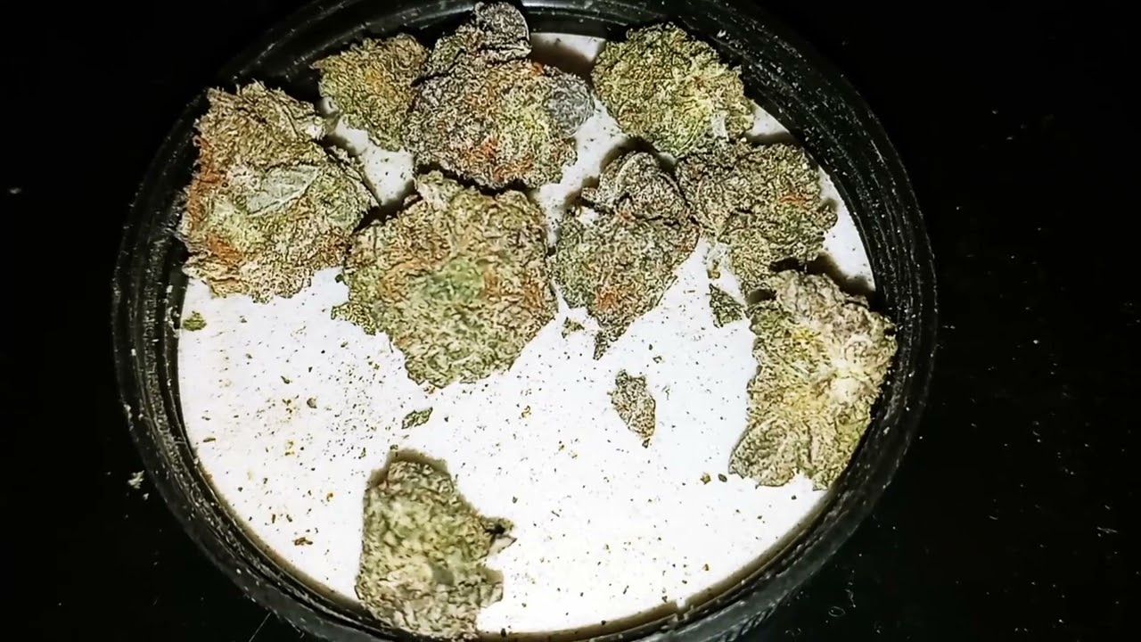 Fruit Rollupz strain review