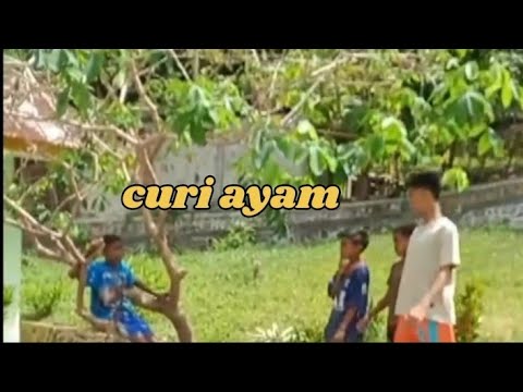 Viral curi ayam