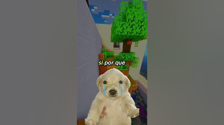 ¿Te dejaron con todo el amor en las manos? 🐶🌧️