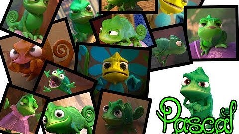 Tangled - Pascal