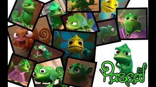 Tangled  Pascal's Best Moments
