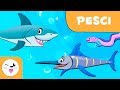 I pesci per bambini - Animali vertebrati - Scienze naturali per bambini